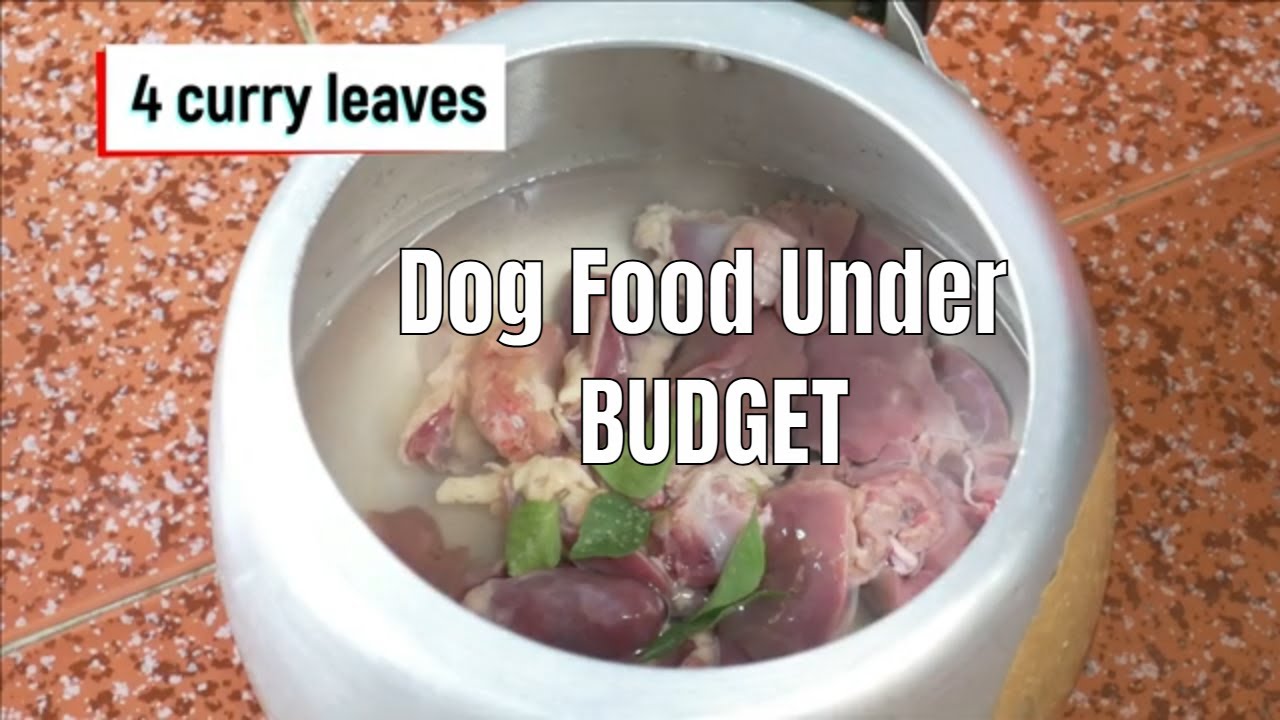 Cheap and healthy homemade dog food | Homemade dog food under budget Organ meat stew | Good Goof