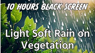 Sleep Better Tonight: Soft Rain on Vegetation ASMR For Sleeping | 10 Hours Black Screen screenshot 4