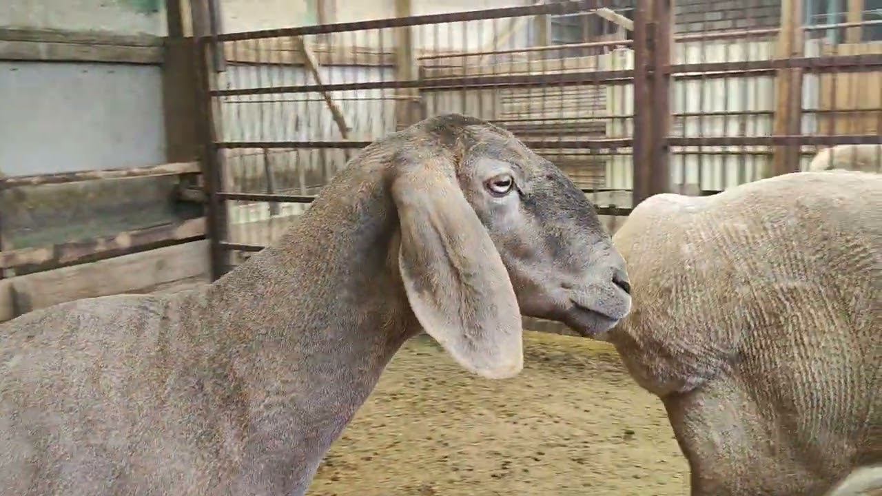 19 апреля 2024 г.