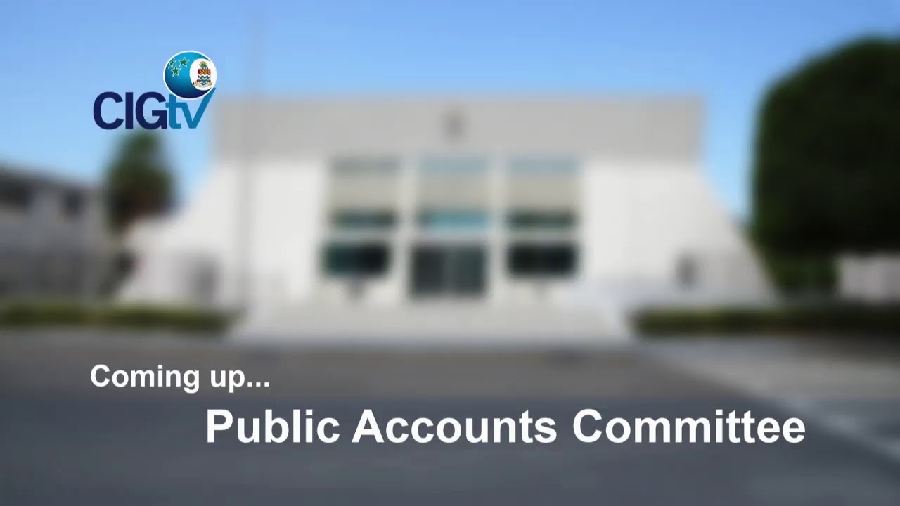 Public accounts