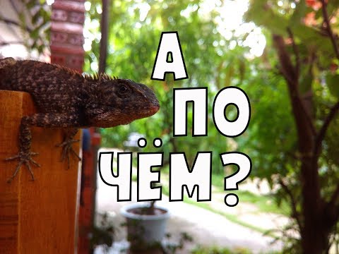 Сколько нужно денег | Цены-Фукуок | Вьетнам