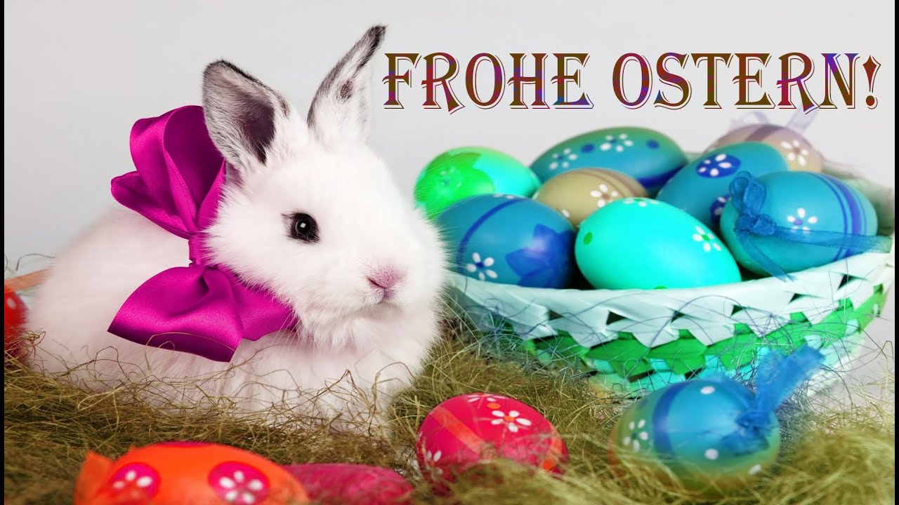 Freue Ostern lustig für WhatsApp | Lustige Ostergrüße