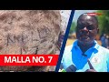 FISI AUAWA ANA NO JINA HIRIZI SHINGONI FISI AUAWA ANA NO JINA HIRIZI SHINGONI