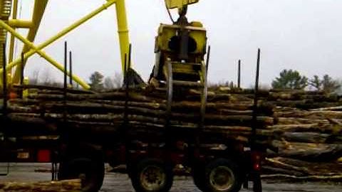 Unloading logs with the huge crane