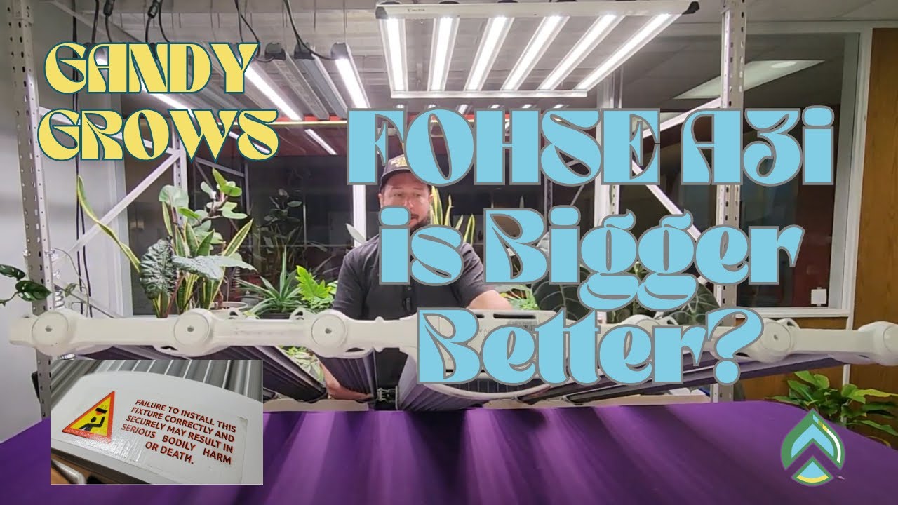 Fohse A3i 1500 Watt Fixture Review: Is Bigger Better?