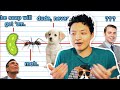 When Would You Kill an Animal?
