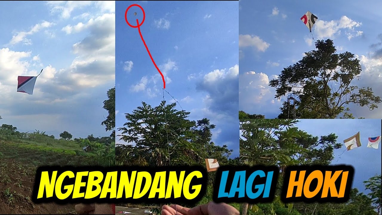 Moro dan Ngebandang Layangan Putus di Wirja | Ngebandang Dapet 3 Layangan | Hobi Om