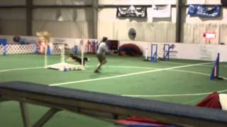 Winston's First Qualifying Novice Standard