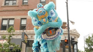A Look at the Argyle Night Market