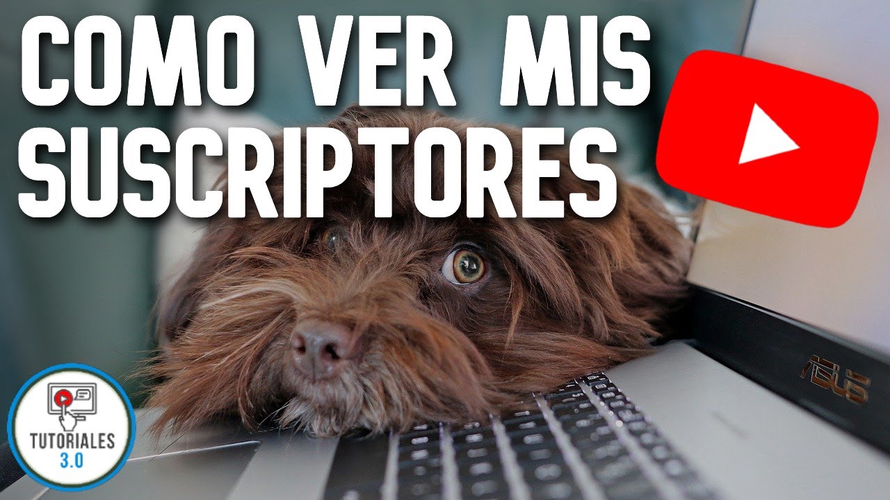 ✅ Como VER MIS SUSCRIPTORES en Youtube | Como ver QUIENES ESTÁN SUSCRITOS a mi canal 📝