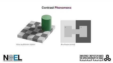 Biologically Plausible Illusionary Contrast Perception with Spiking Neural Network