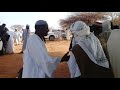 رحله كبابيش مع الشعراء بحمرة الشيخ 1