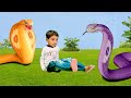 Strange cobras attacked a cute baby  snake  snake movie