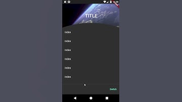 Flutter Scroll Animation