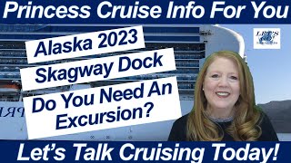 CRUISE NEWS! ALASKA 2023 DO YOU NEED TO BOOK AN EXCURSION? FISHING SKAGWAY DOCK ONBOARD UPDATES
