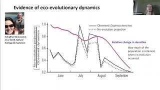 Lynn Govaert: Eco-evolutionary dynamics - Concepts and Metrics