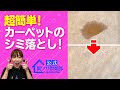 【カンタン掃除術】『カーペットのシミを取る裏ワザ』コーヒー、しょう油、ソースなどのシミを洗剤を使わずキレイに落とす驚きの方法をご紹介! ライフハックチャンネル「公式・伊東家!裏ワザ倶楽部」