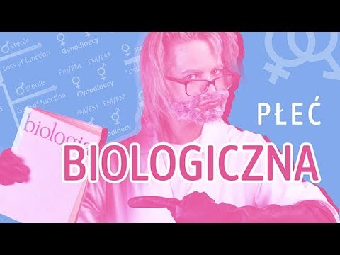 Wideo: Jakie są płcie biologiczne?
