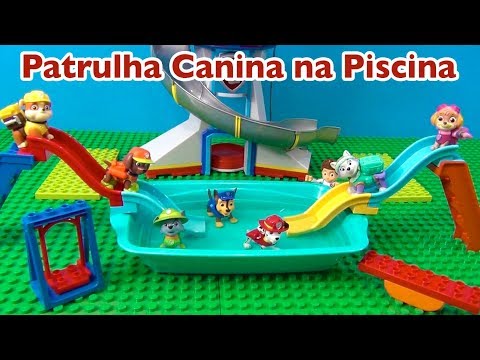 Vídeo: 7 cães que parecem ursos