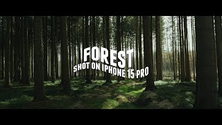 Forest shot on Iphone 15 Pro| graded with Phantom Luts