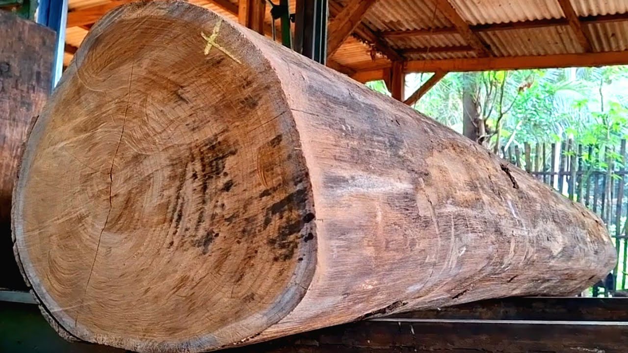 «SUPER TEAK LOCKS, Наследие предков всех волокон (GALIH)» на лесопилке