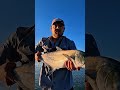 What a Fish! Tiny Lure, Big Reward! #Fishing #Bigfish