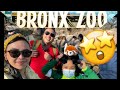 Vlog #8: Visiting the Bronx Zoo for the first time!