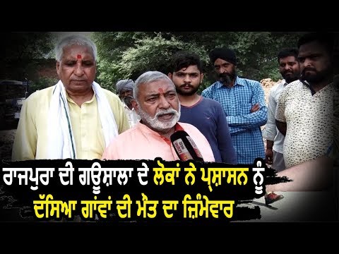 Exclusive:  Rajpura की गौशाला के लोगों ने प्रशासन को बताया गायों की मौत के लिए ज़िम्मेदार