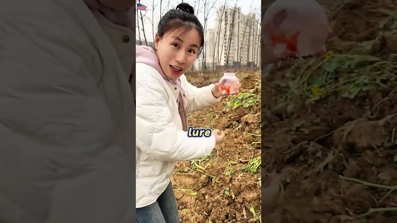 Her Logic: "Only White Animals are Rabbits!" 🤦‍♂️🐰#foryou#FunnyPrank#USA