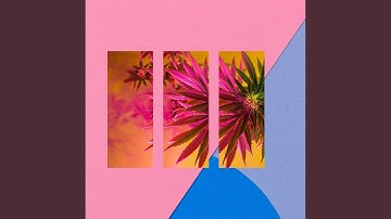 Exciting Waltz - Vibe for Softer Throwbacks