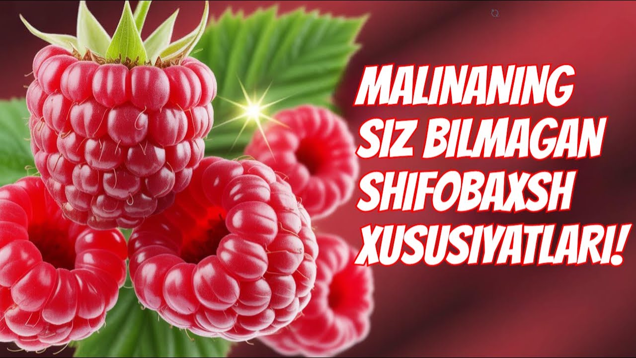 Shifokorlar Ham Hayron – Malinaning Foydasi Shunchalikmi?