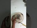 ceiling fan stator ki wire jal Jaye to aise karen theek ✅ #shortvideo #shorts #electronic #electric