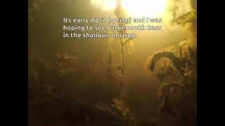 Gopro Underwater test1: Cottage Lake Dock(I was curious how the gopro would perform in its underwater housing while submerged in a nearby freshwater lake from a dock. Next time I'll test red/magenta ..., 2015-04-10T03:42:49.000Z)