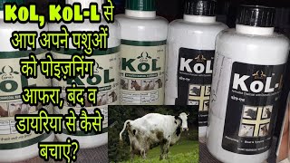 KoL, KoL-L का उपयोग आप अपने पशुओं में poisoning,Blot&tympany, impaction, डायरिया रोग में कैसे लें
