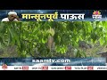 आंबा हंगामाला फटका, कोकणात मुसळधार पाऊस! | Chiplun Rain Update