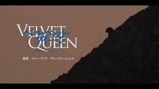 映画『ベルベット・クイーン　ユキヒョウを探して』予告編