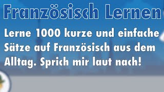 Lerne Französisch: 1000 Sätze aus dem Alltag auf Französisch für Beginner