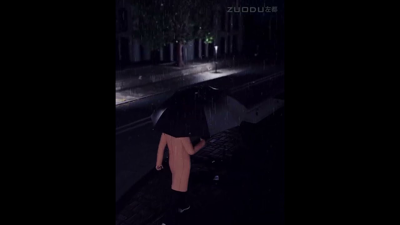 ZUODO Umbrella // Black video thumbnail