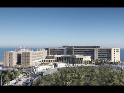 Euipo search Euipo search