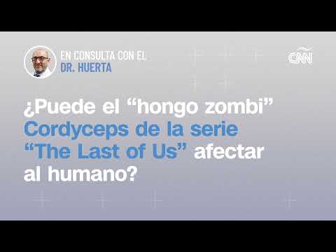 ¿Puede el “hongo zombi” Cordyceps de la serie “The Last of Us” afectar al humano?