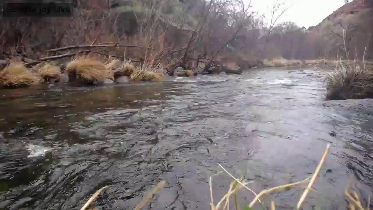 The Joy Stream Sedona Live Stream