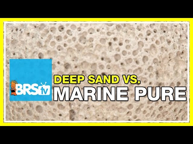 FAQ #20: Why use MarinePure for filtration VS deep sand beds