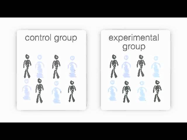 Control Group Definition and Examples