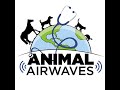 Animal Airwaves – A Discussion with Sarah Carey and Dana Hill