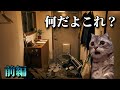 塩をかけなかったらヤバかった話 前編 #ホラー #心霊 #怖い話