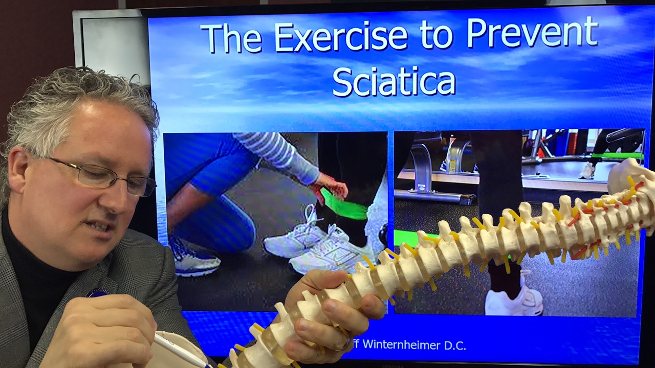 The Exercise To Prevent Back Pain and Sciatica - YouTube