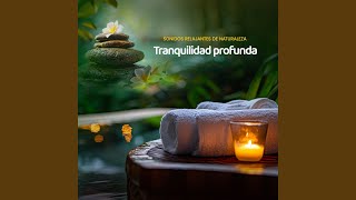 Download Lagu a Zona MP3