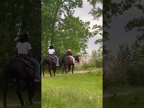 KUYIWA ESIGAYWENI KUMBE ESTITSHINI