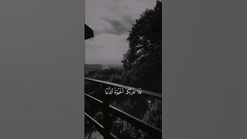 القران الكريم// بصوت الشيخ سعد الغامدي// حالات واتساب دينيه