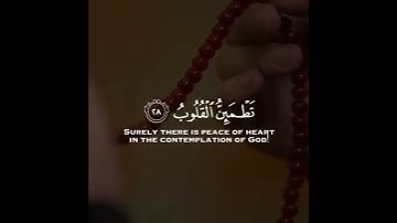 الَّذِينَ ءَامَنُوا و تَطْمَئِنُّ قُلُوبُهُم بِذِكْرِ اللَّهِ 💚🕊️ إسلام صبحي 🌿 | قرآن كريم 🌸 °